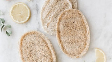 Natural Oval Loofah Sponge - Little Flower Soap Co