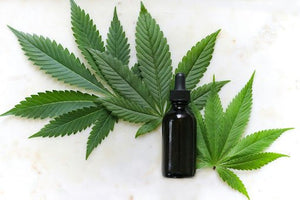 Quick and Effective Relief with CBD Pain Stick - Little Flower Soap Co