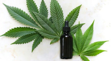 Quick and Effective Relief with CBD Pain Stick - Little Flower Soap Co