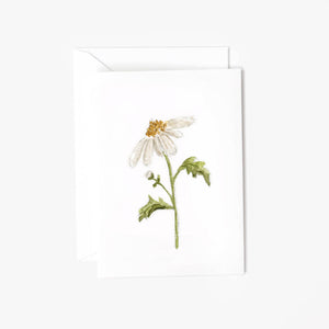 Botanical Daisy Mini Card - Little Flower Soap Co