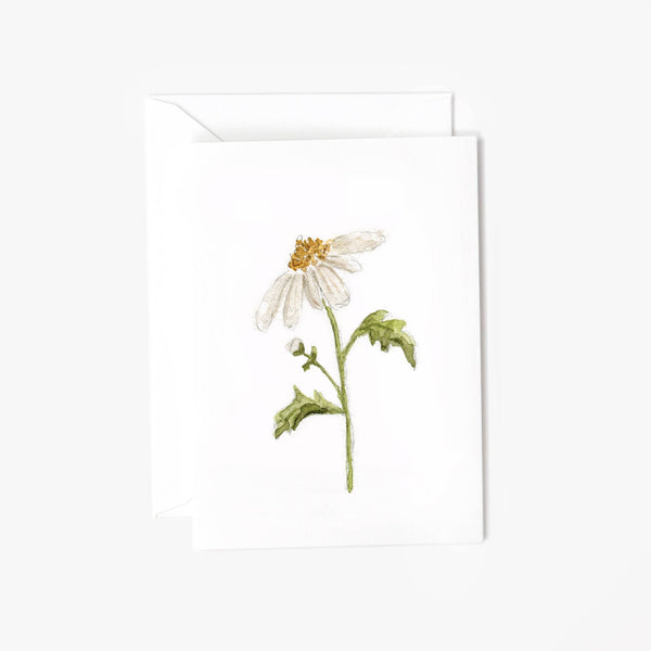 Botanical Daisy Mini Card - Little Flower Soap Co