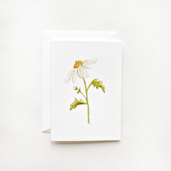 Botanical Daisy Mini Card - Little Flower Soap Co