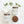 Load image into Gallery viewer, Bridal Party Gifts - Thank You or Will You Be my Bridesmaid Ask - Little Flower Soap Co
