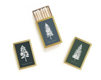 Decorative Botanical Match Box - Noble Fir - Little Flower Soap Co
