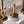 Load image into Gallery viewer, Dish Soap Scrub Brush - Little Flower Soap Codish brushcleaning
