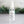 Load image into Gallery viewer, Hand Sanitizer Peppermint Eucalyptus - Little Flower Soap Co

