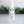 Load image into Gallery viewer, Hand Sanitizer White Thyme &amp; Rosemary - Little Flower Soap Co
