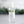 Load image into Gallery viewer, Hand Sanitizer White Thyme &amp; Rosemary - Little Flower Soap Co

