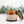 Load image into Gallery viewer, Hardworking Dad Gift - Little Flower Soap Co
