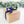 Load image into Gallery viewer, Hello Sweet Cheeks Funny Bathroom Candle - Little Flower Soap Co
