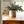 Load image into Gallery viewer, Laurel Crocks - Various Sizes - Little Flower Soap Co
