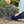 Load image into Gallery viewer, Memory Foam Navy Garden Kneeler - Little Flower Soap Co
