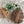 Load image into Gallery viewer, Monstera Leaf Wooden Riser – Handmade Plant Stand or Trivet - Little Flower Soap Co
