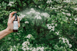 Natural Bug Spray 2oz - Essential Oil Insect Repellent - Little Flower Soap Co