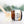 Load image into Gallery viewer, Overnight Lip Rescue Mask - Vanilla Mint - Little Flower Soap Co
