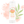 Load image into Gallery viewer, Set of 5 Lip Balms - Lil Lippies Wild Bunch - Little Flower Soap Co

