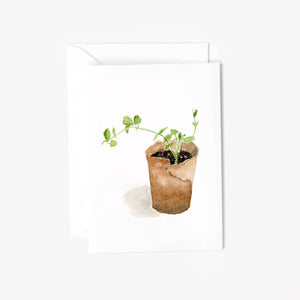Sweet pea mini notecards - Little Flower Soap Co