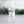 Load image into Gallery viewer, Noble Fir 4oz Travel-size lavender citrus hand sanitizer spray – non-toxic and fresh.
