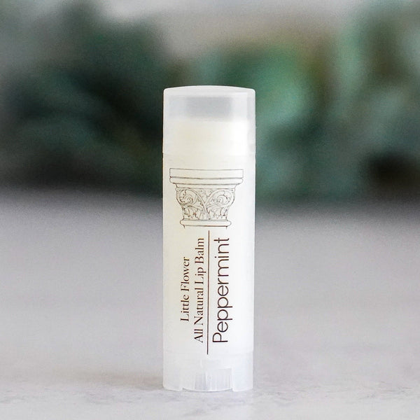 Pumpkin Spice Lip Balm - Little Flower Soap Co