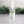 Load image into Gallery viewer, Set of 3 Hand Sanitizer Sprays 80% Alcohol Essential Oil Scent Blends - Little Flower Soap Co
